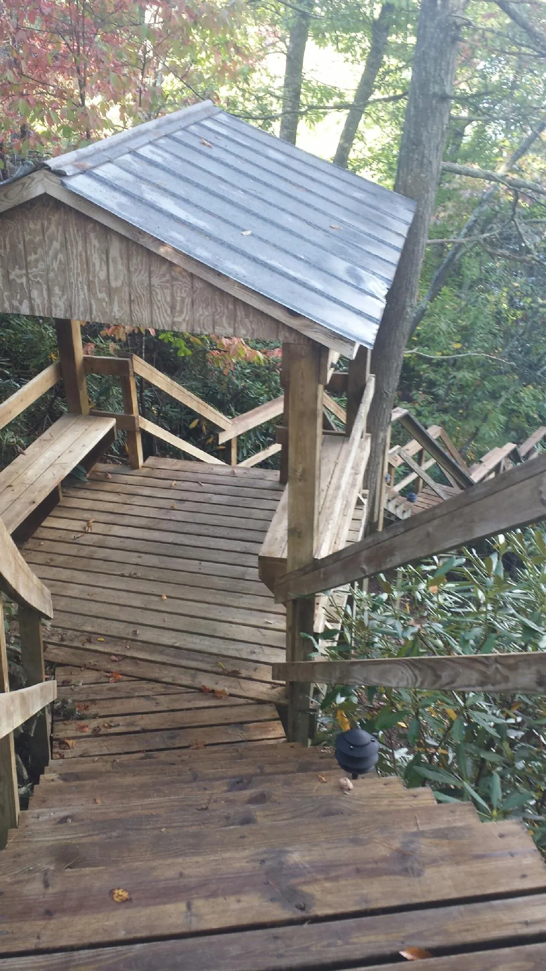 Metal roofed shelter over wooden steps on a wooded walkway in Zebulon