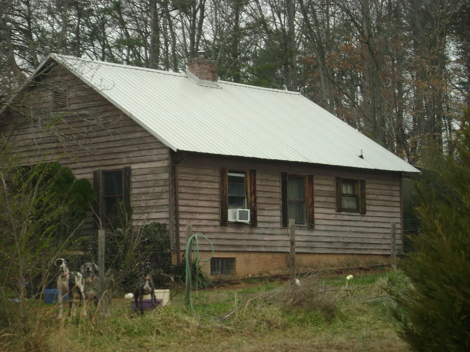 White metal roof on an old wood sided farmhouse, from a Asphalt Shingle Roof Repair job in Zebulon